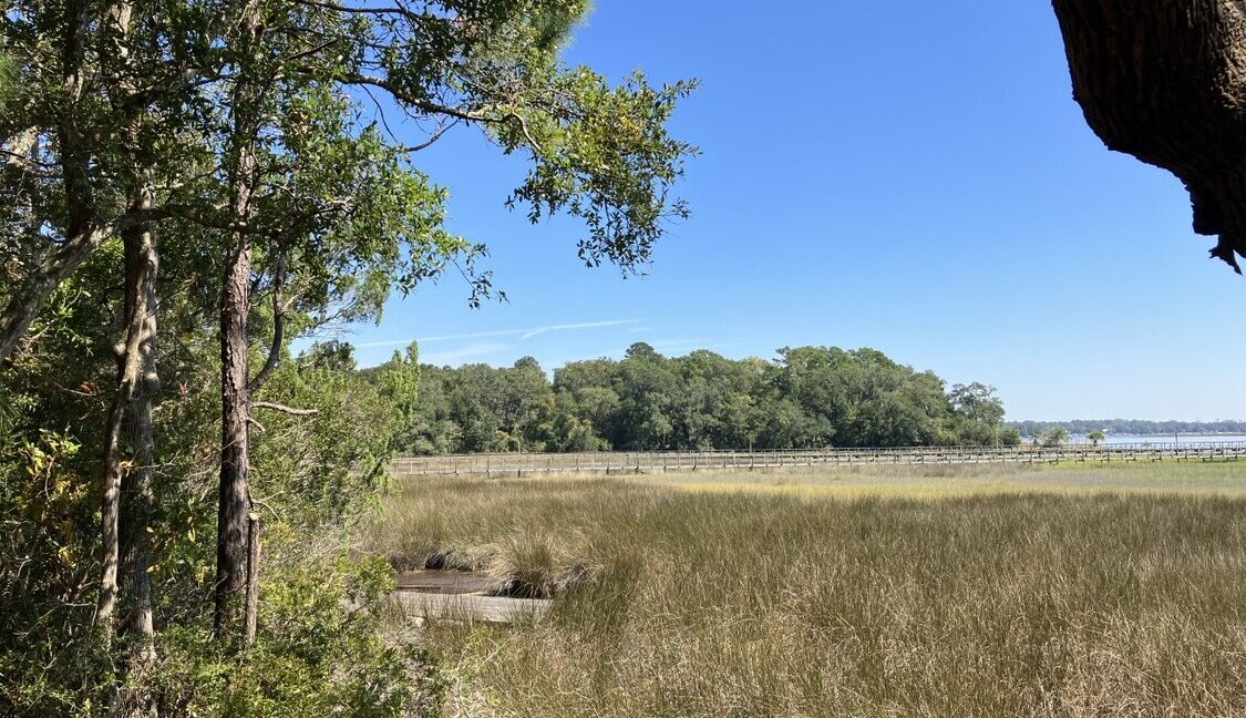 Nassau River NE View