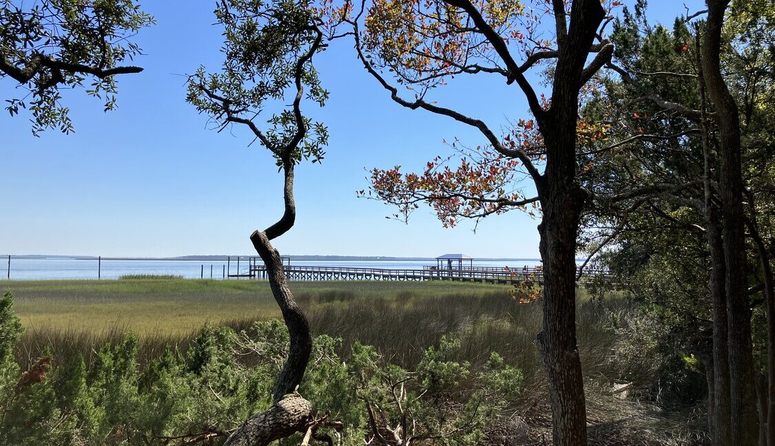 Nassau River SW View