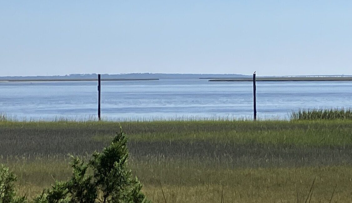 Pilings Dock Markers